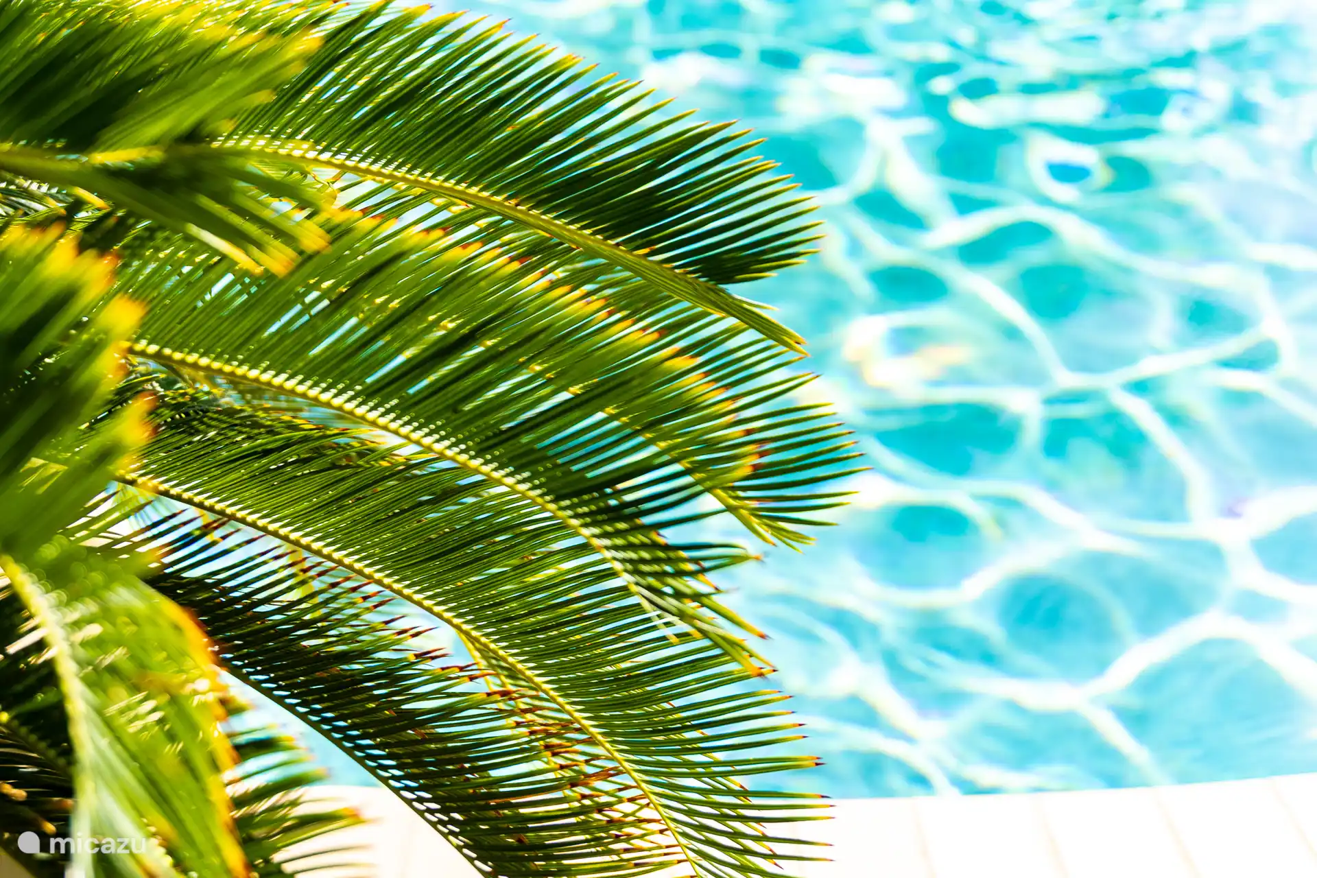 simplemente delicioso