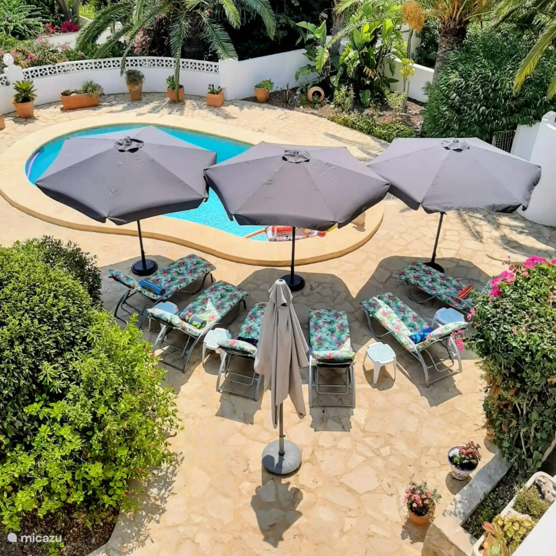 Tumbonas junto a la piscina 