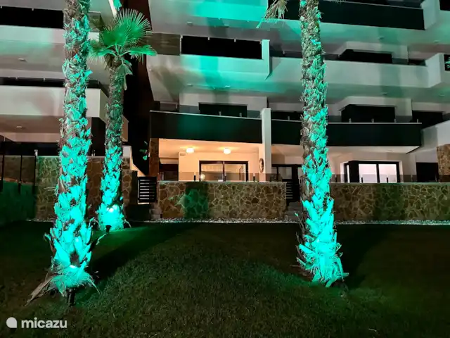 Casa Rosa en España, Costa Blanca, Orihuela Costa - apartamento Jardín atractivamente iluminado con palmeras. Disfrute de un ambiente mediterráneo único por la noche.