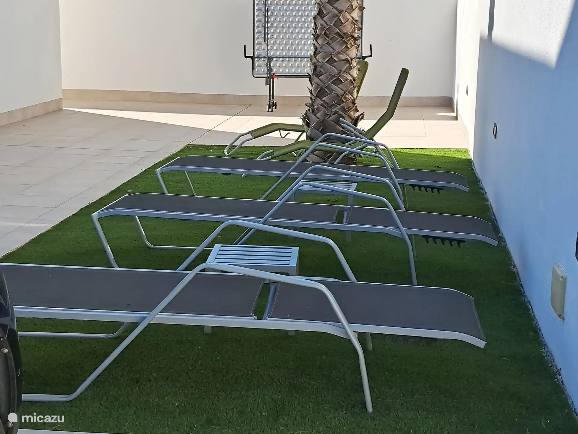 Genieten onder de palmboom