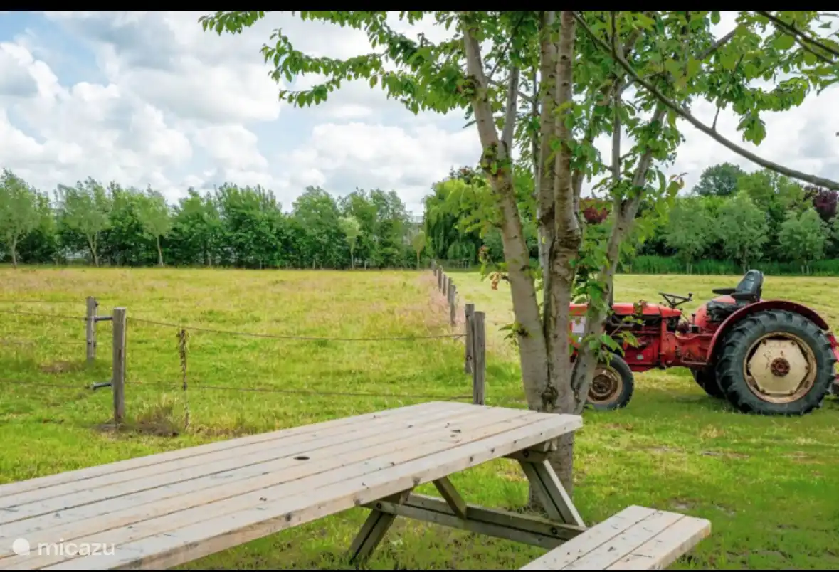 Vegetación por todas partes