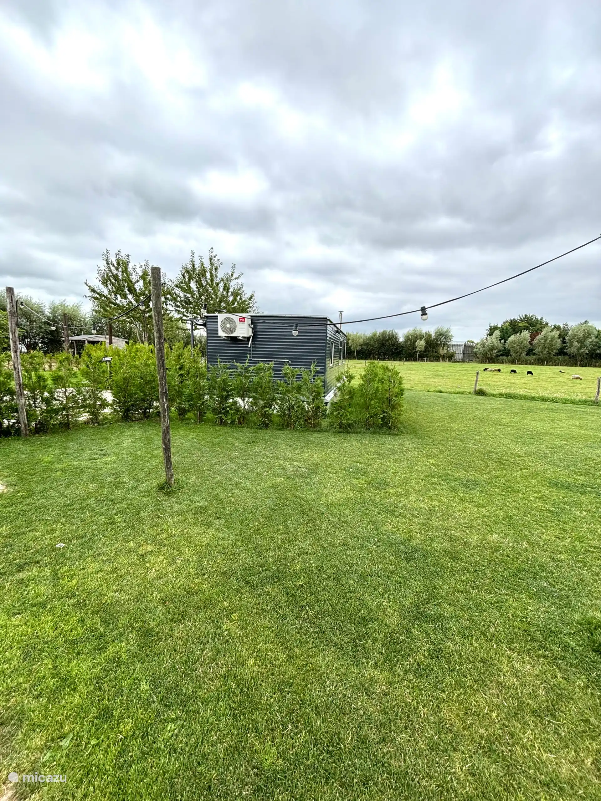 Vegetación por todas partes