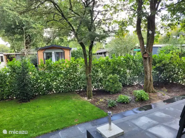 Hanneton  | Pays-Bas, Gueldre, Wells - chalet Entouré de verdure et partiellement protégé pour une intimité suffisante.
Beau jardin avec pelouse, arbustes et arbres - y compris un nichoir et des détails confortables.