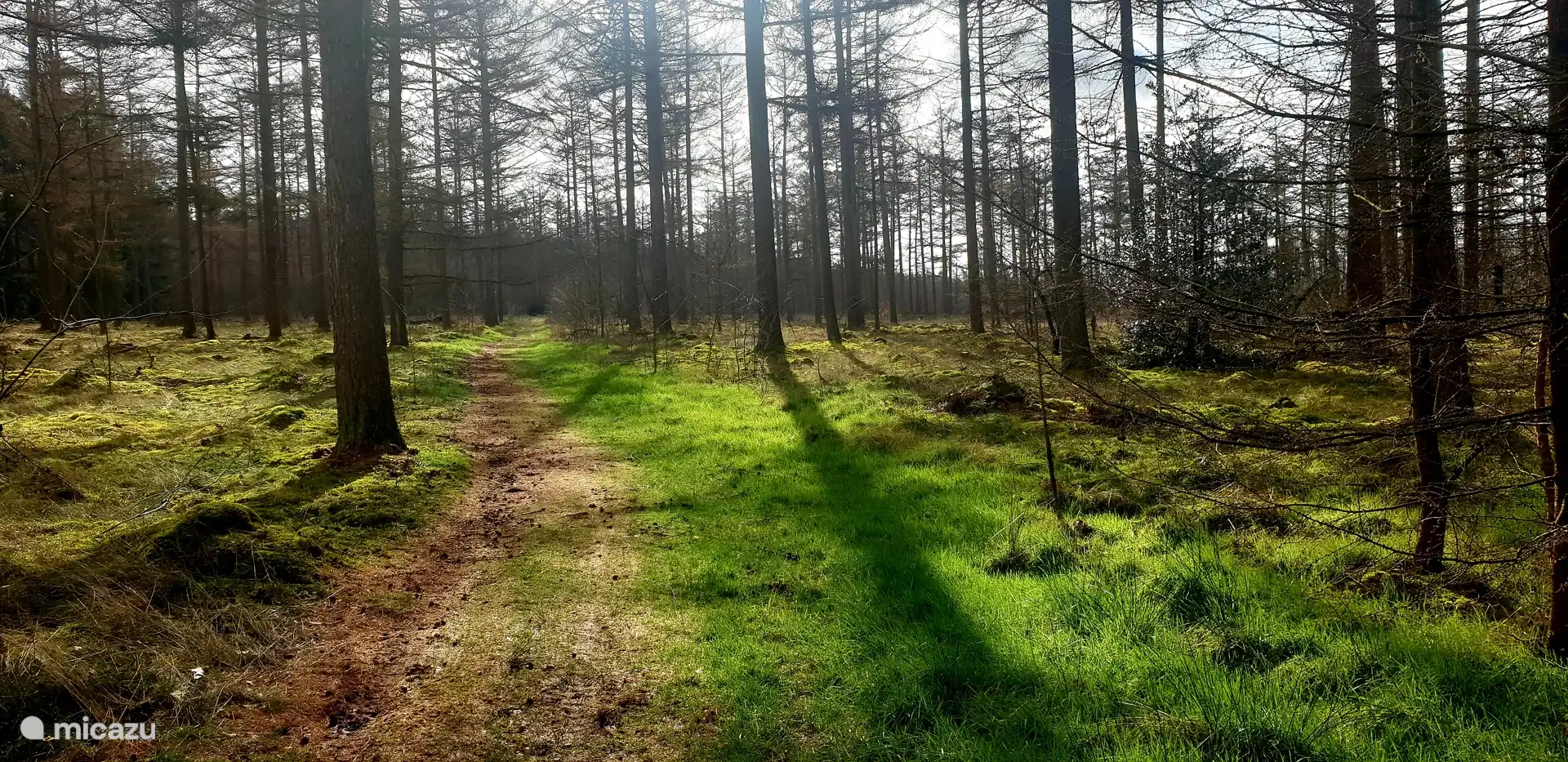 Lodge Hooghalen - hiking in the area