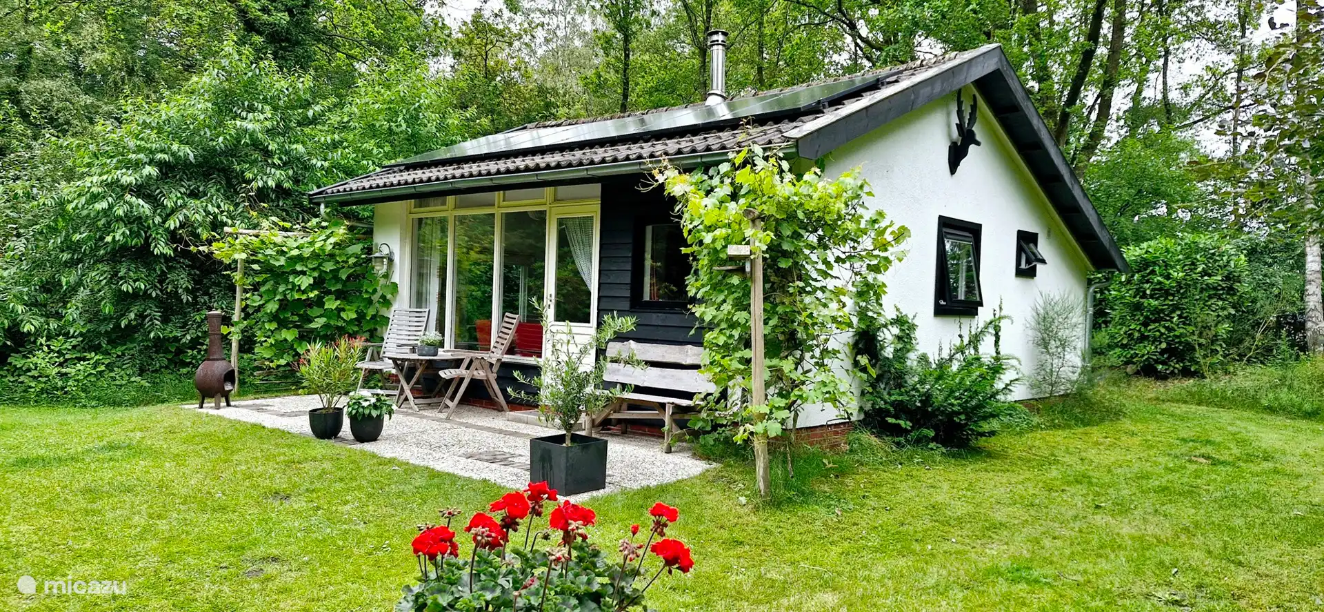 Lodge Hooghalen - rear