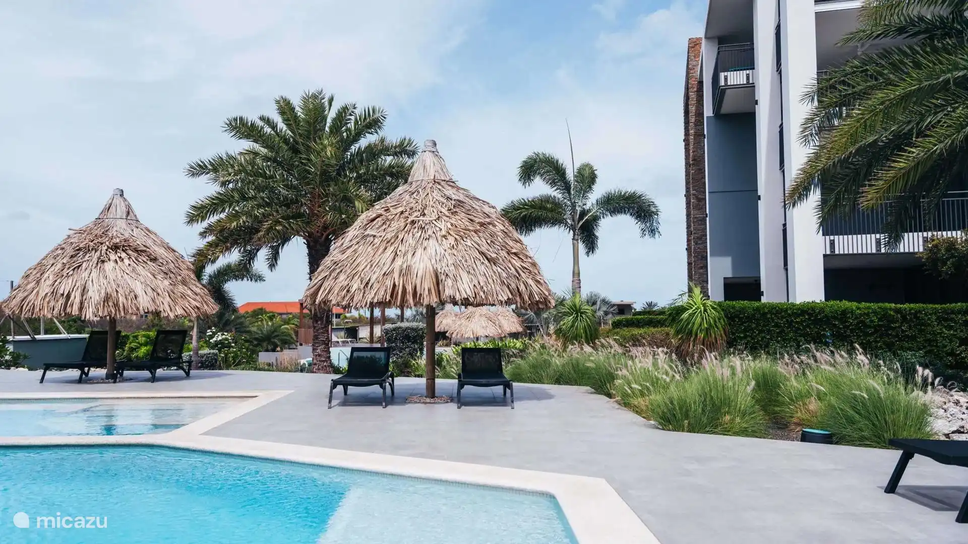 Tu propia palapala para la sombra necesaria