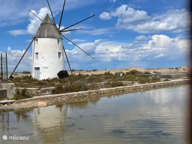 Casa del Gallo | Espagne, Murcia, San Pedro del Pinatar - appartement