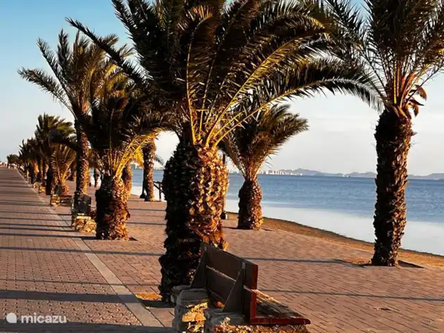 Casa del Gallo | Espagne, Murcia, San Pedro del Pinatar - appartement