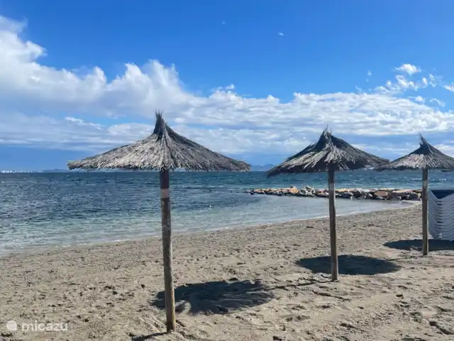 Casa del Gallo | Espagne, Murcia, San Pedro del Pinatar - appartement