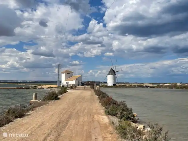 Casa del Gallo | Espagne, Murcia, San Pedro del Pinatar - appartement