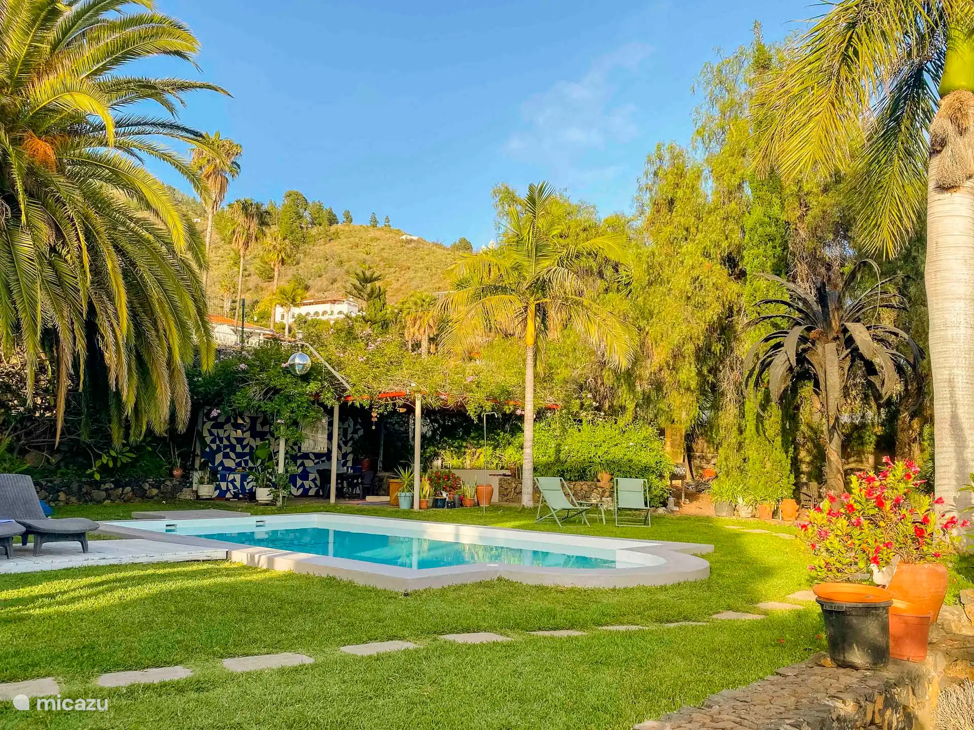 Garten, Pool und Pergola