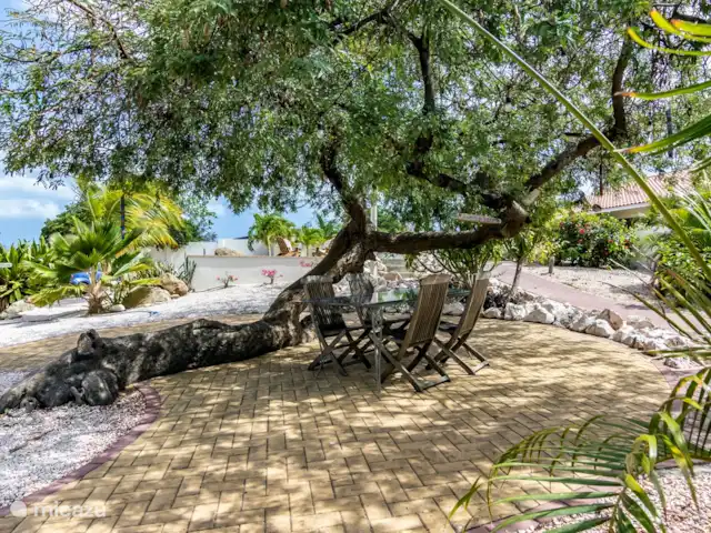 ABC Lodge Curazao B en Curazao, Curazao Centro, Julianadorp - cabaña de madera Disfruta del asiento bajo nuestro hermoso árbol de tamarindo