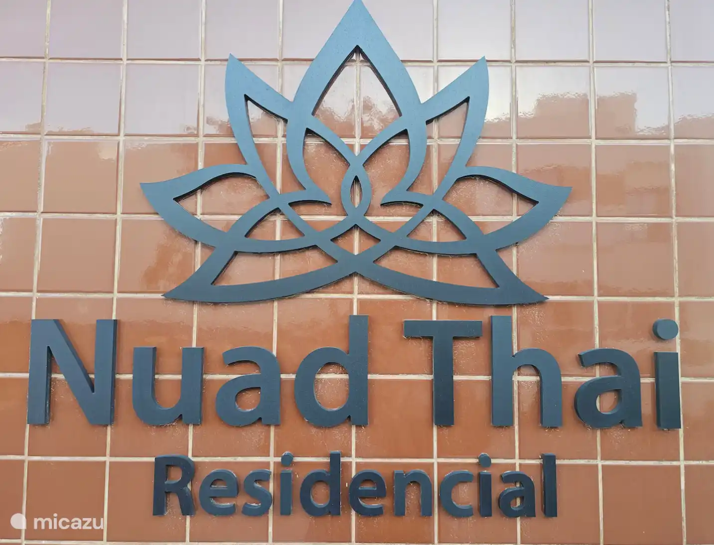 Complejo de placas de identificación