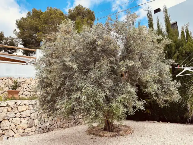 Casa Les Cigales huren in Spanje, Costa Blanca, Benissa - vakantiehuis