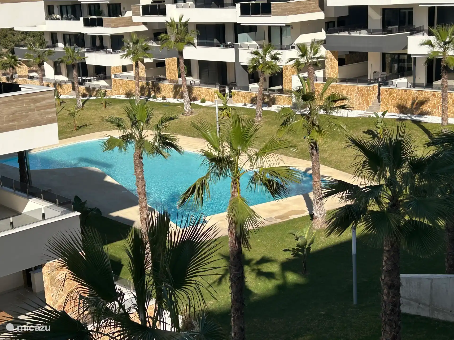 Profitez du soleil près de la piscine. S’il fait trop chaud, rafraîchez-vous sous le palmier.
