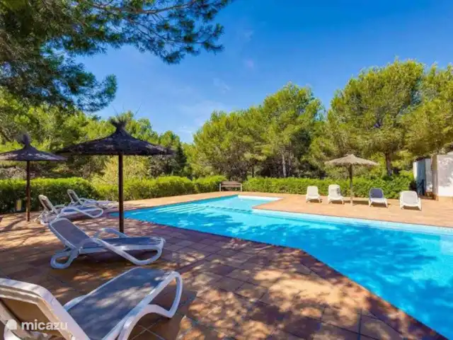 Encina ático Las Colinas Golf en España, Costa Blanca, Orihuela Costa - apartamento Piscina 2
