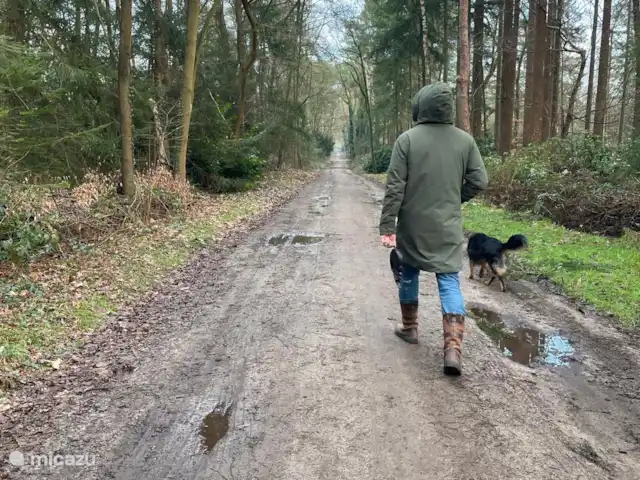 Boshuisje Lochem - Pas de soucis in Nederland, Gelderland, Lochem - vakantiehuis
