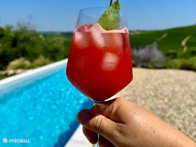 Bricco Aivè Belvedere - Réservé aux adultes | Italie, Piémont, Costigliole d'Asti - appartement Cocktails au bord de la piscine.