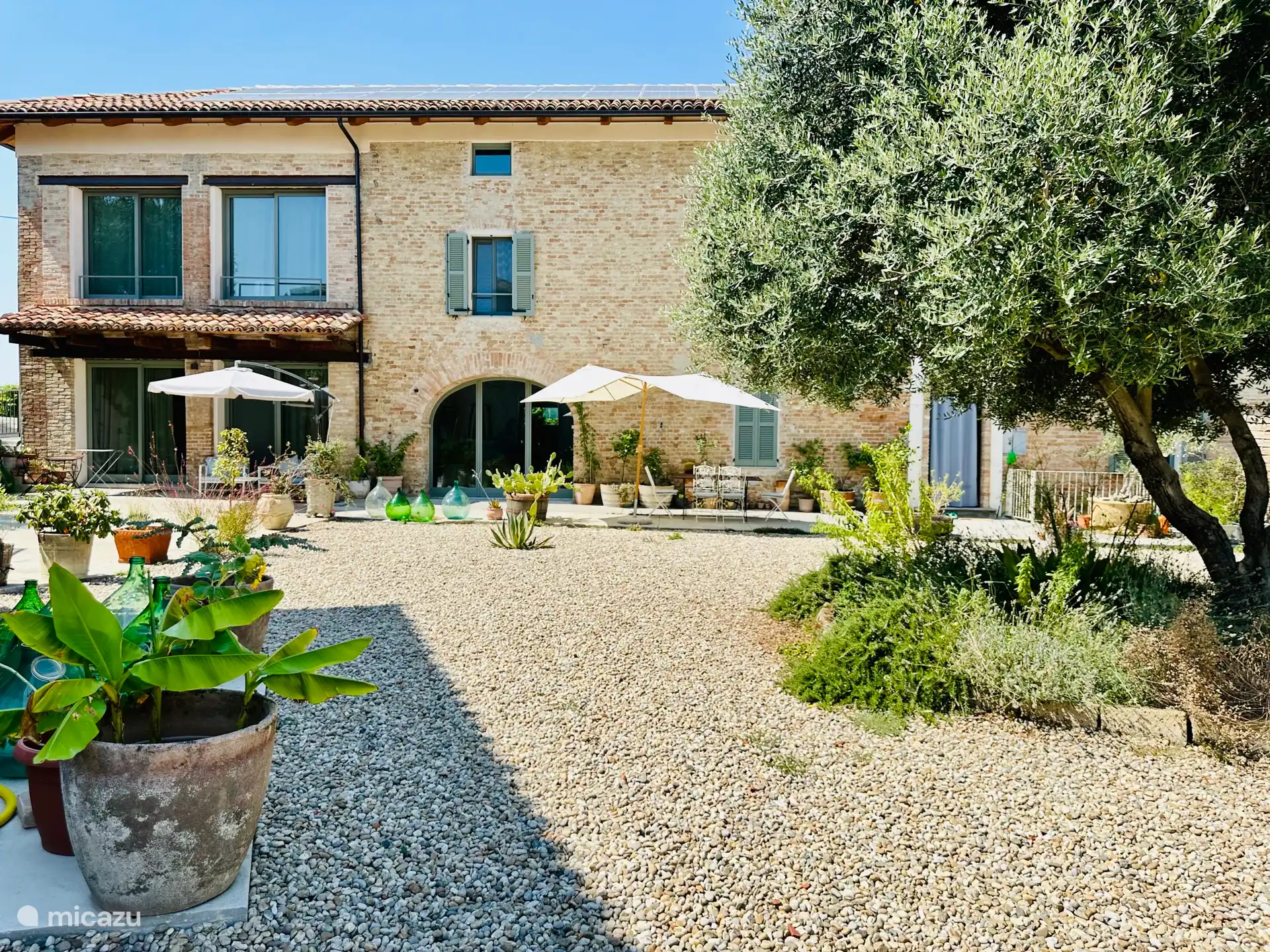 Jardín Bricco Aivè con sus increíbles plantas de olivo y lavanda.