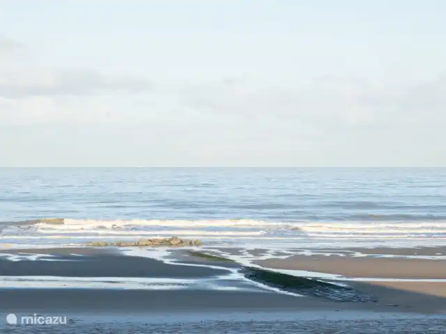 Allons Raversijde 101 | Belgique, Côte Belge, Ostende - appartement Vue sur la plage