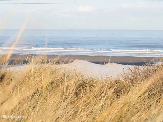 Allons Raversijde 101 | Belgique, Côte Belge, Ostende - appartement Vue sur la plage