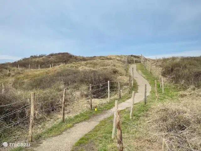 Allons Raversijde 502 | Belgique, Côte Belge, Ostende - appartement Environnement
