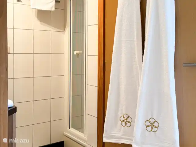 Allons Raversijde 502 | Belgique, Côte Belge, Ostende - appartement Salle de Bains