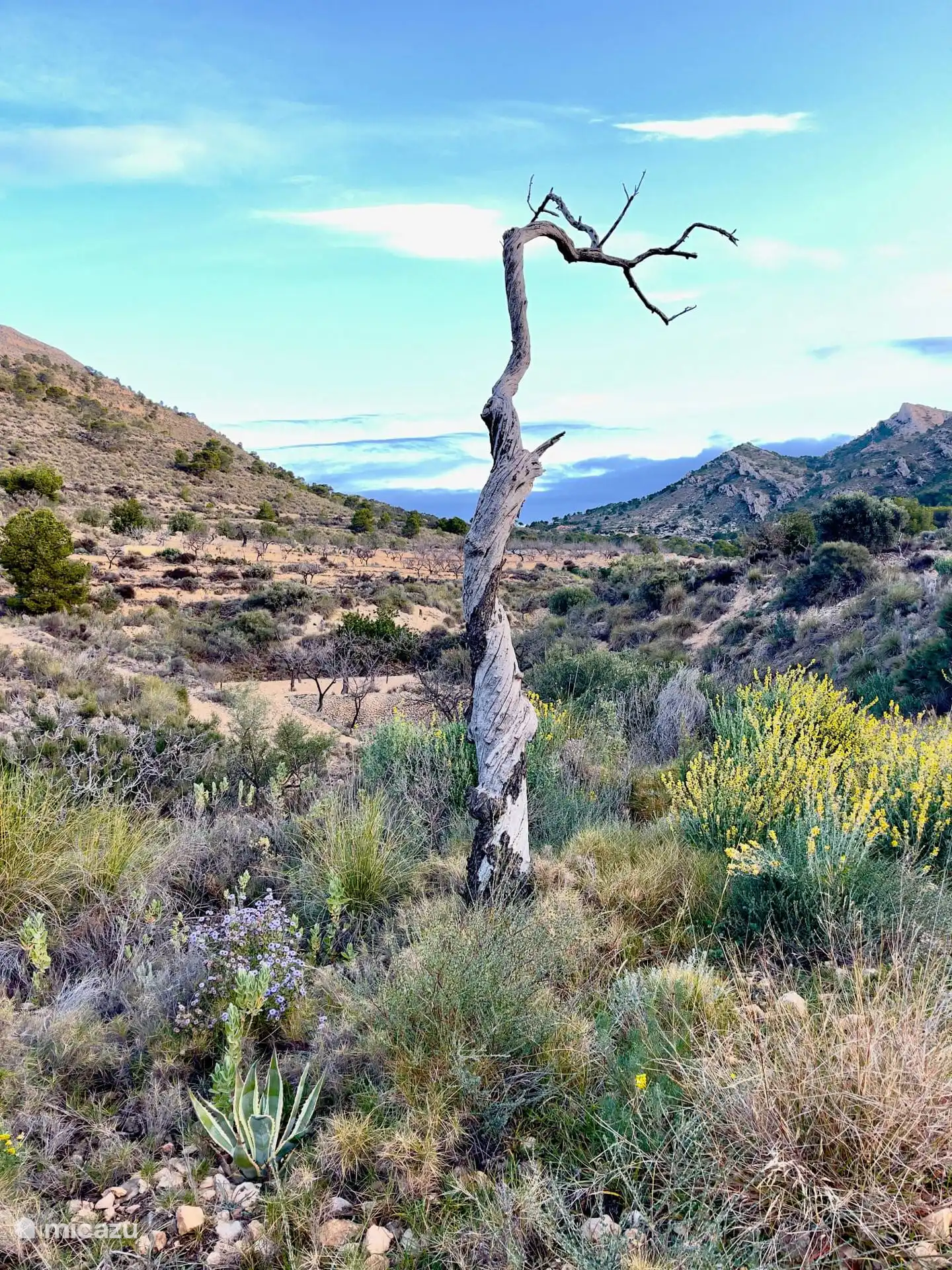 Du wähnst dich im Wilden Westen
