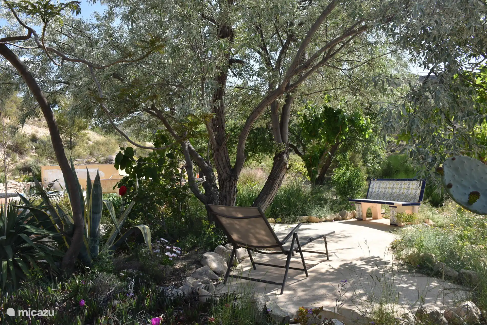 Detail aus dem Garten