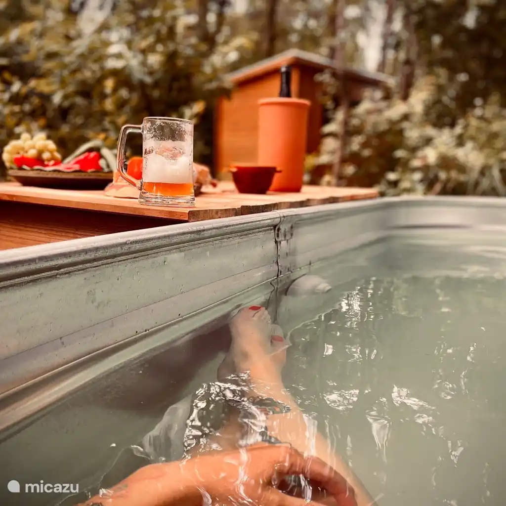 Boshuisje De Boskeet met hottub