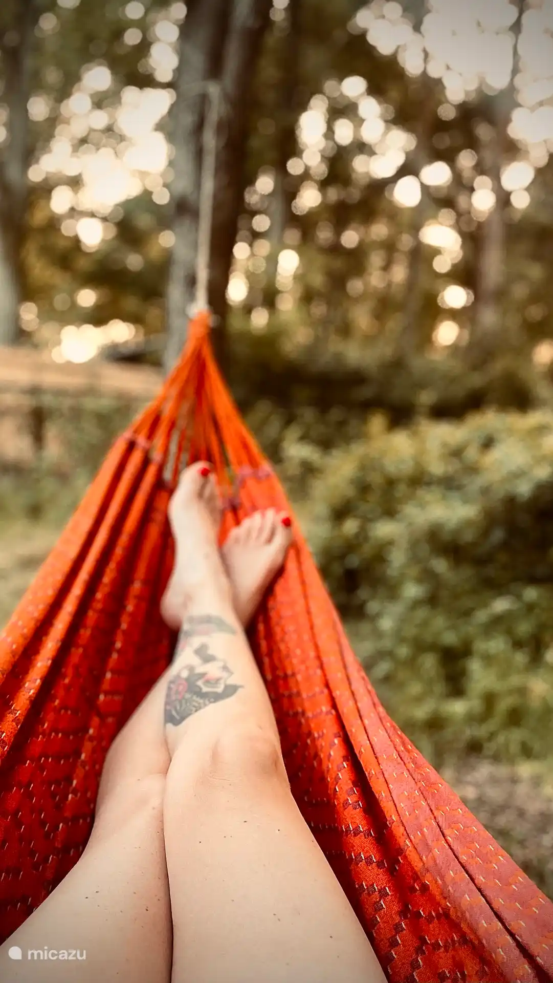 relazen in de hangmat in de bostuin