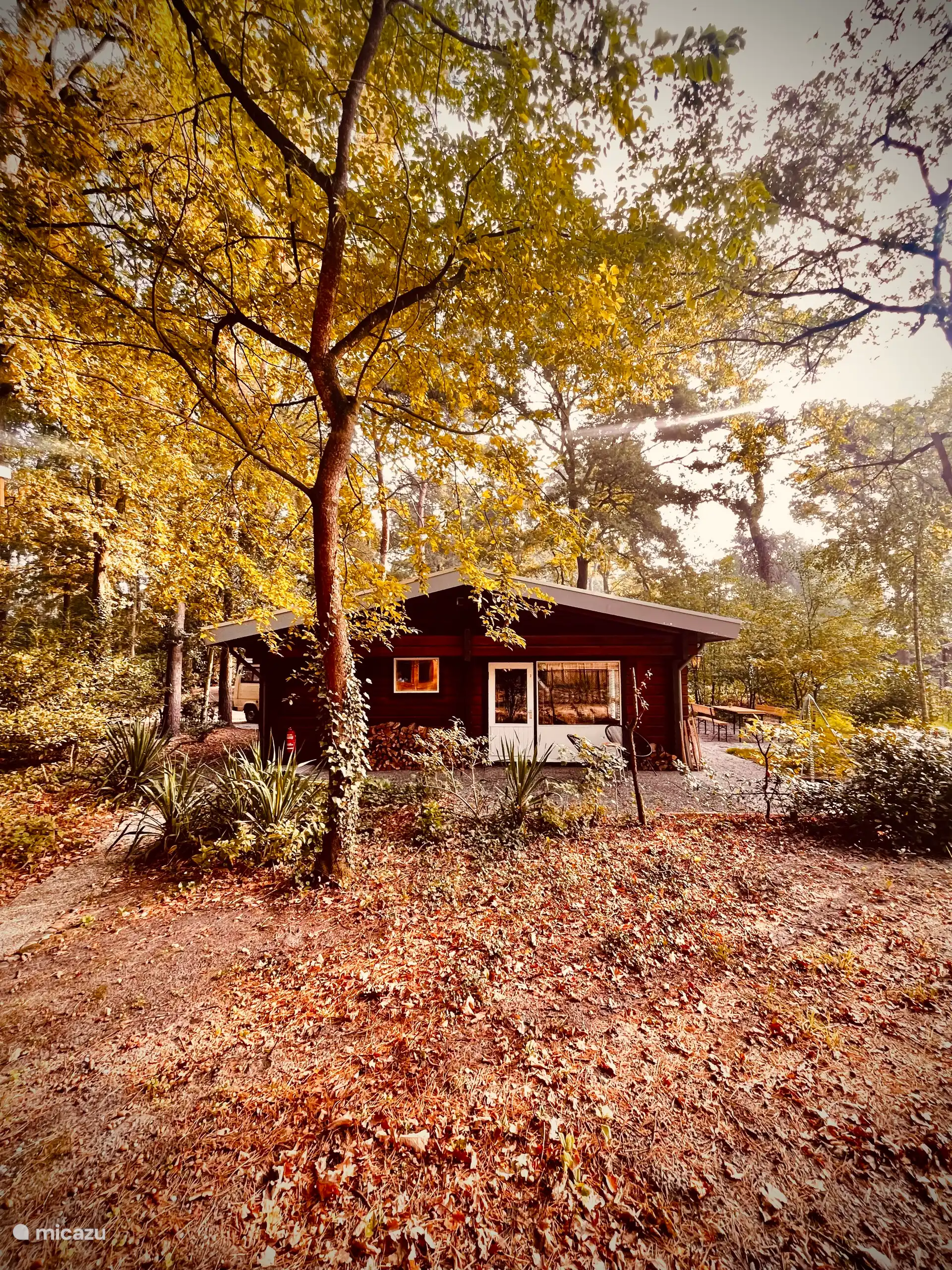 Der Boskeet in Niederlande, Limburg, Meijel - ferienhaus