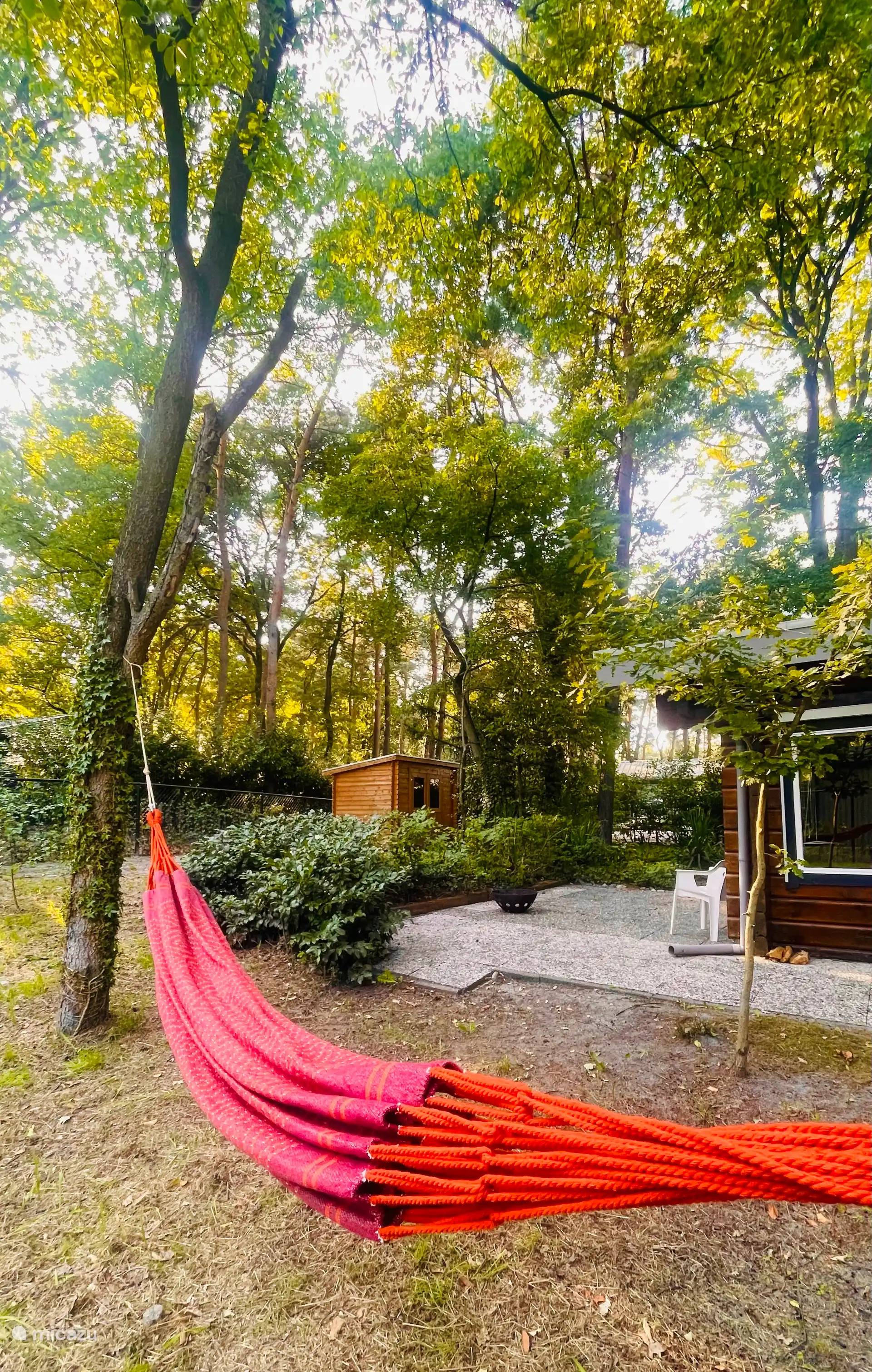 Ein geräumiger, umzäunter Waldgarten zum Entspannen.
