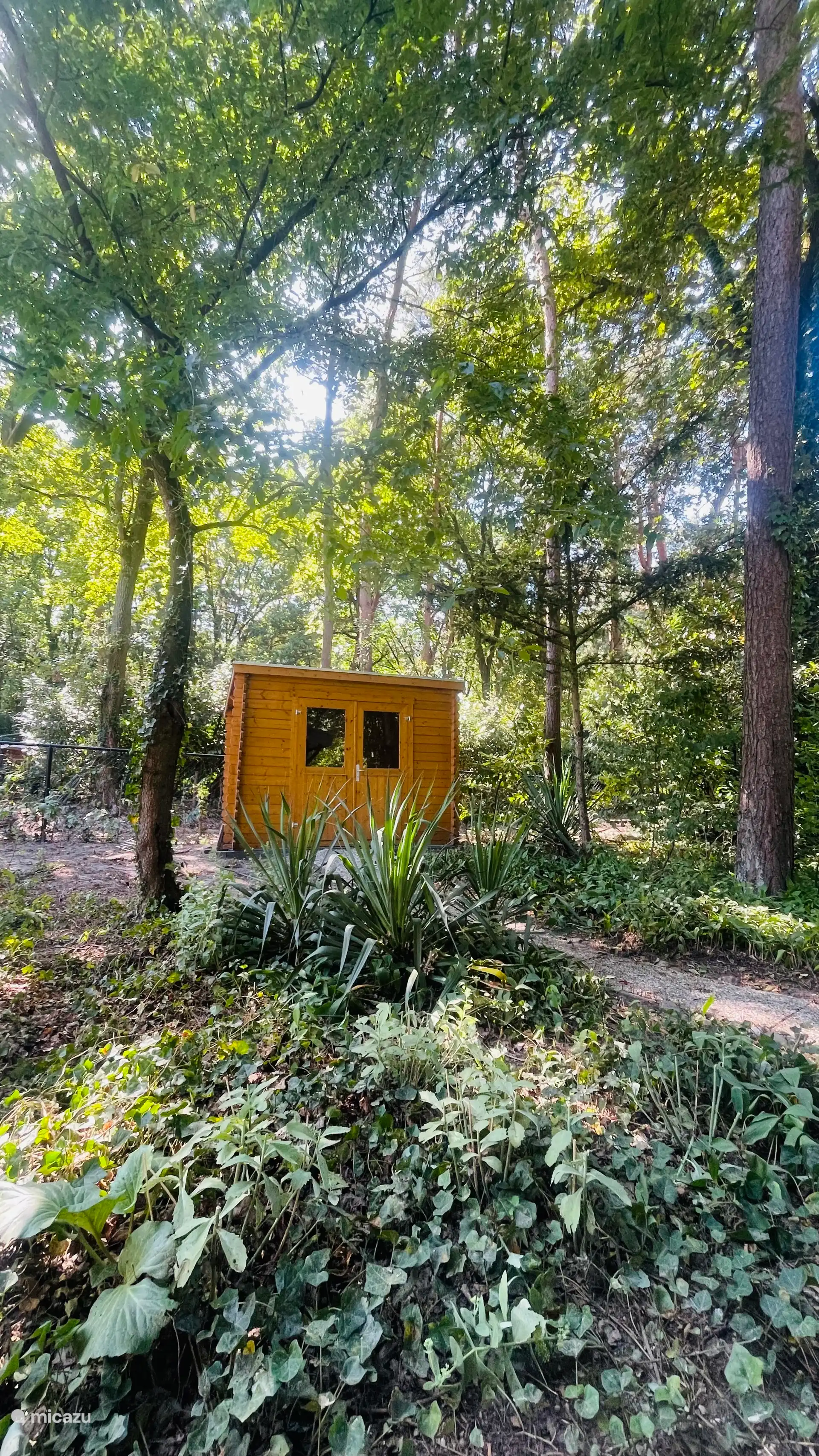 Blick auf den Seitengarten mit dem Schuppen.