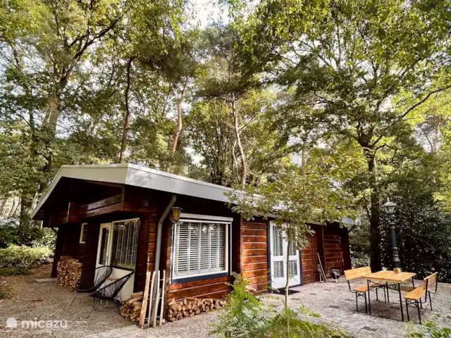 Le Boskeet | Pays-Bas, Limbourg, Meijel - maison de vacances Cour arrière avec terrasse et table à manger