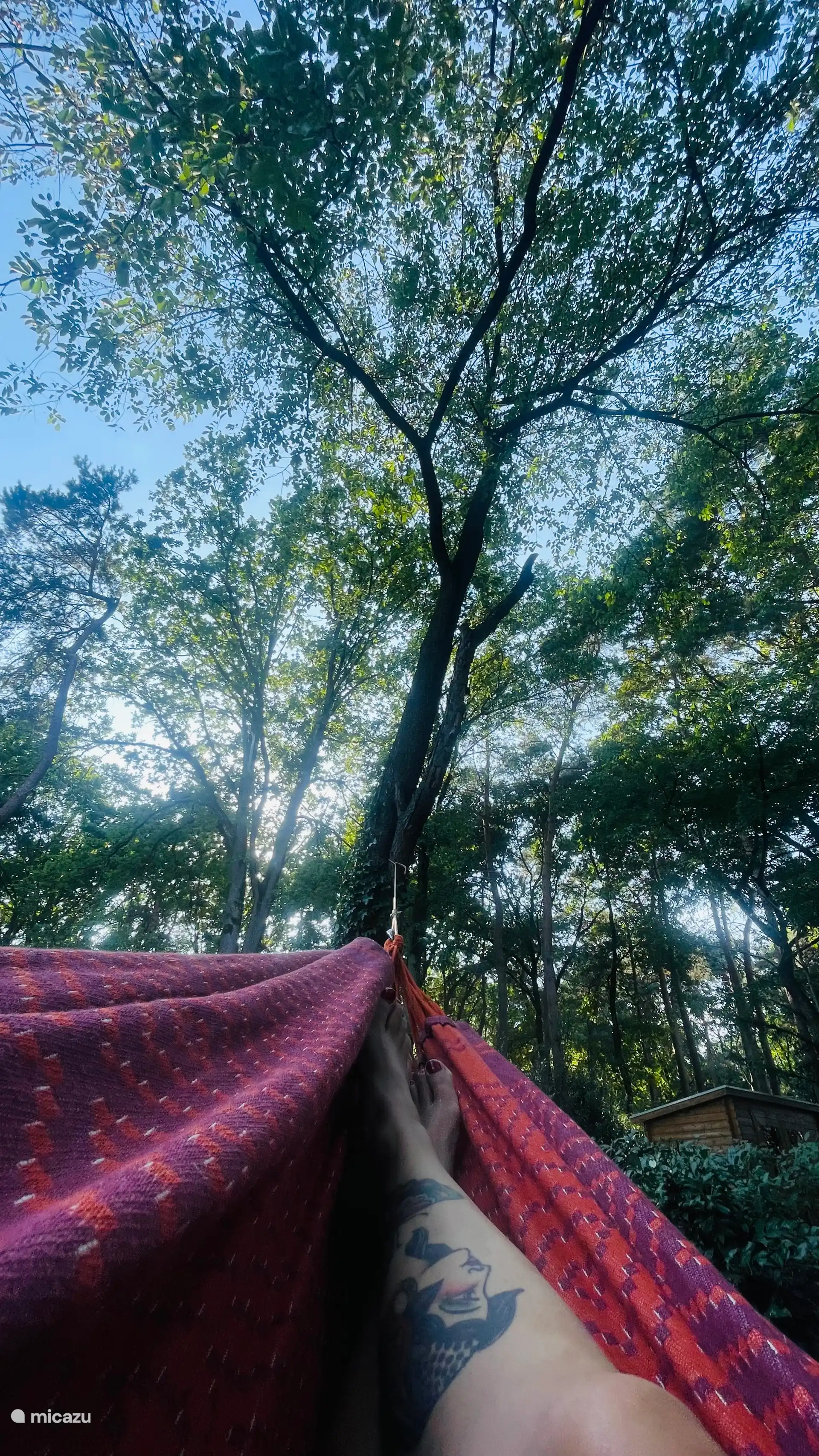 Genießen Sie Vogelgeräusche aus Ihrer Hängematte. Oder versuchen Sie, mit dem bereitstehenden Fernglas Vögel zu beobachten.