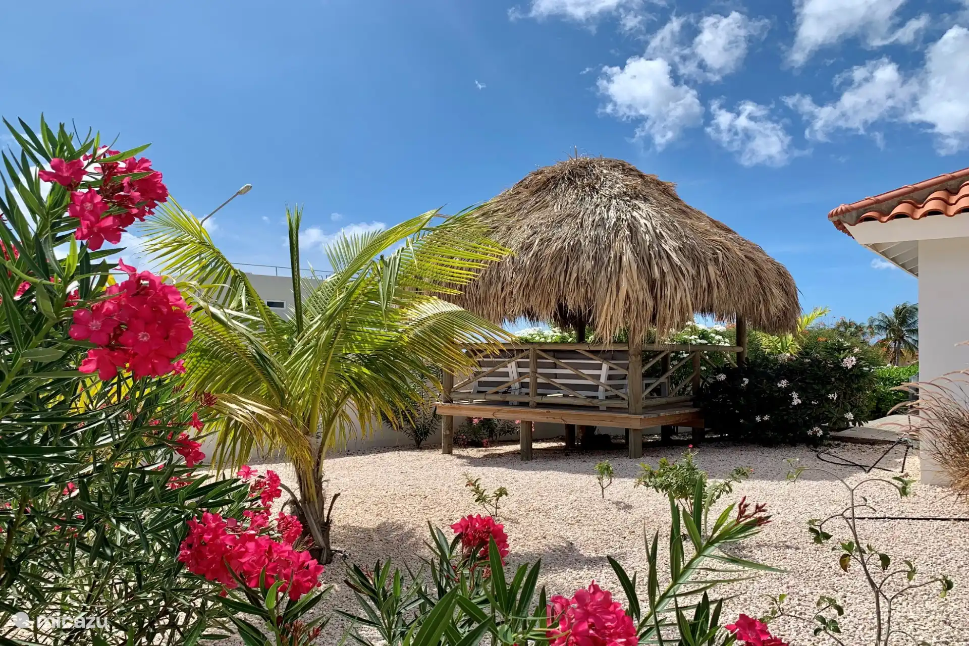 Palapa
