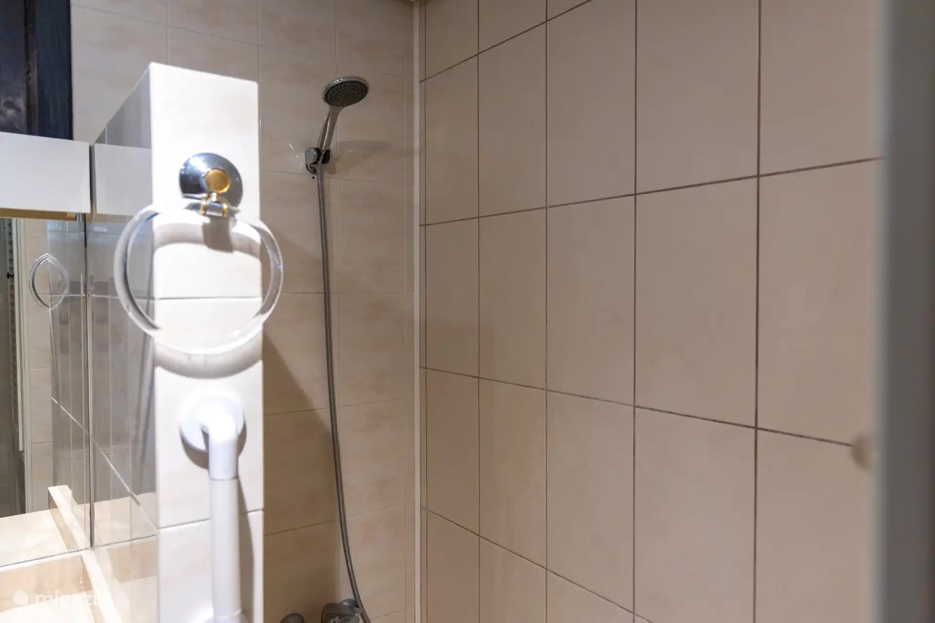 Dusche in der Badewanne verfügbar