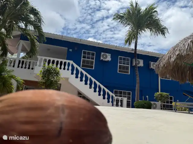 Location de Vacances Curaçao, Banda Ariba (est), Jan Thiel, appartement - La Tortue Verte Eco Lodge C Recours