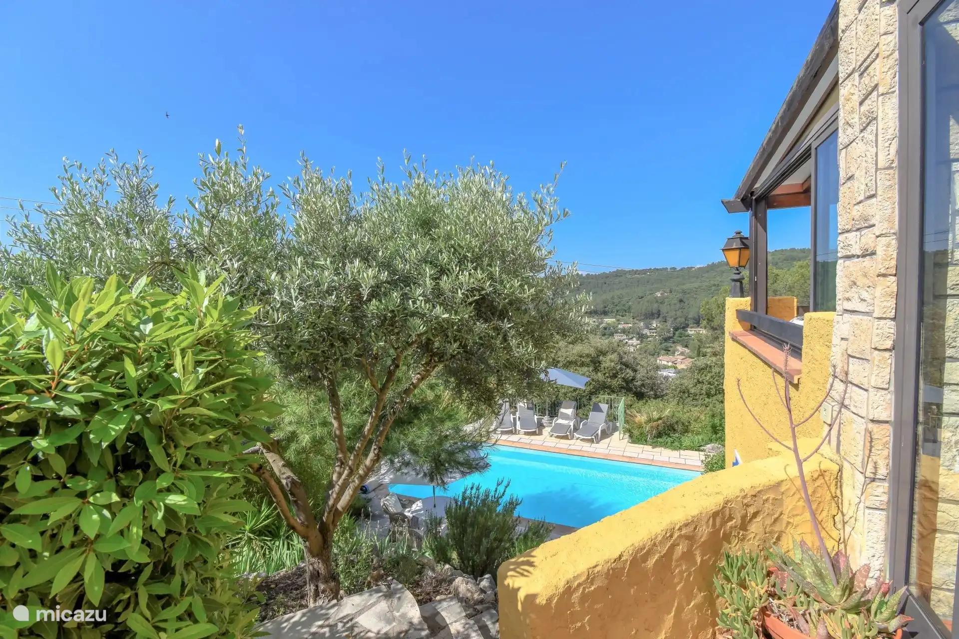 Olivenbäume im Garten. Das Foto wurde von der Seite des Hauses aufgenommen