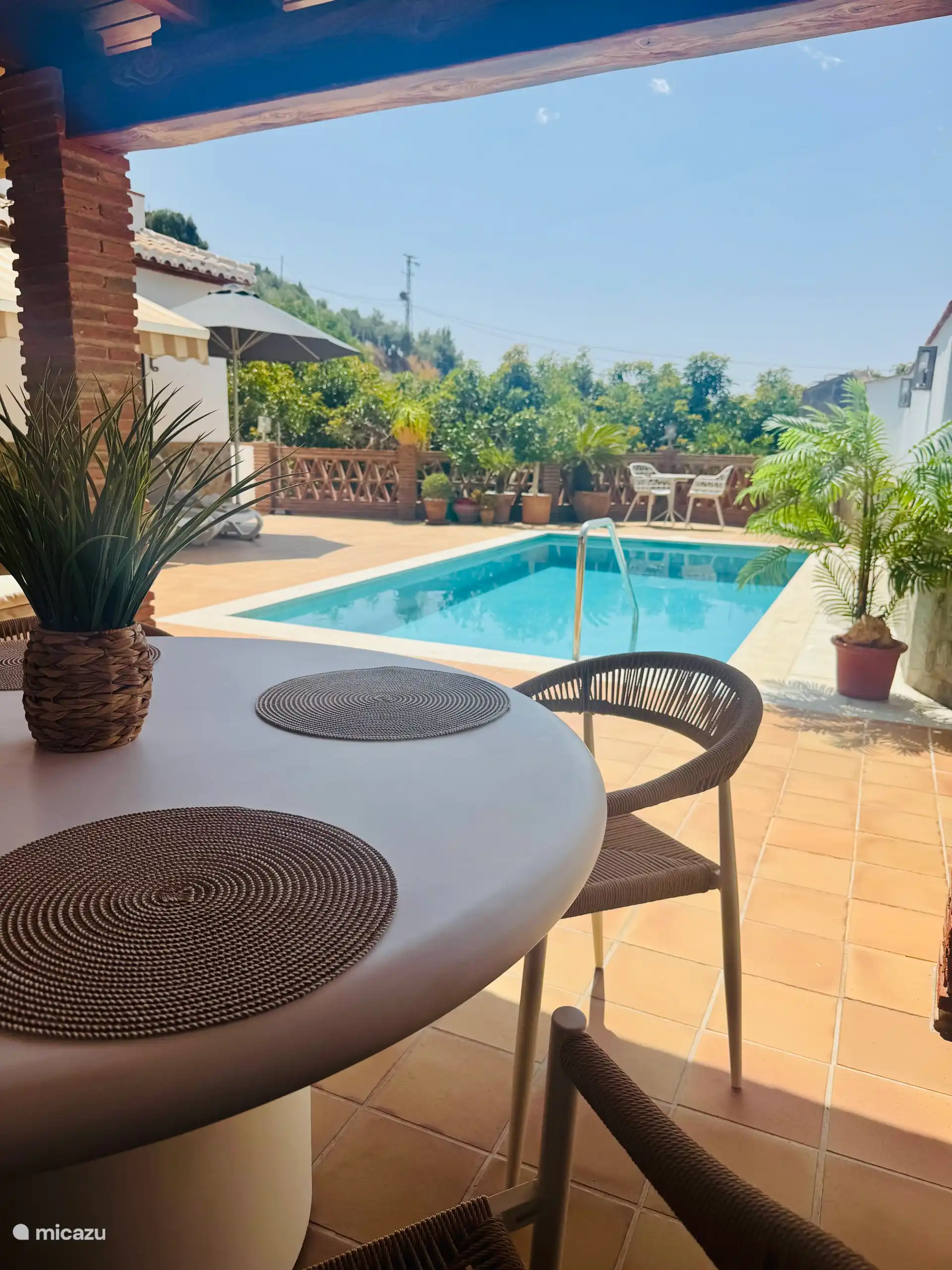 Piscina desde el dosel