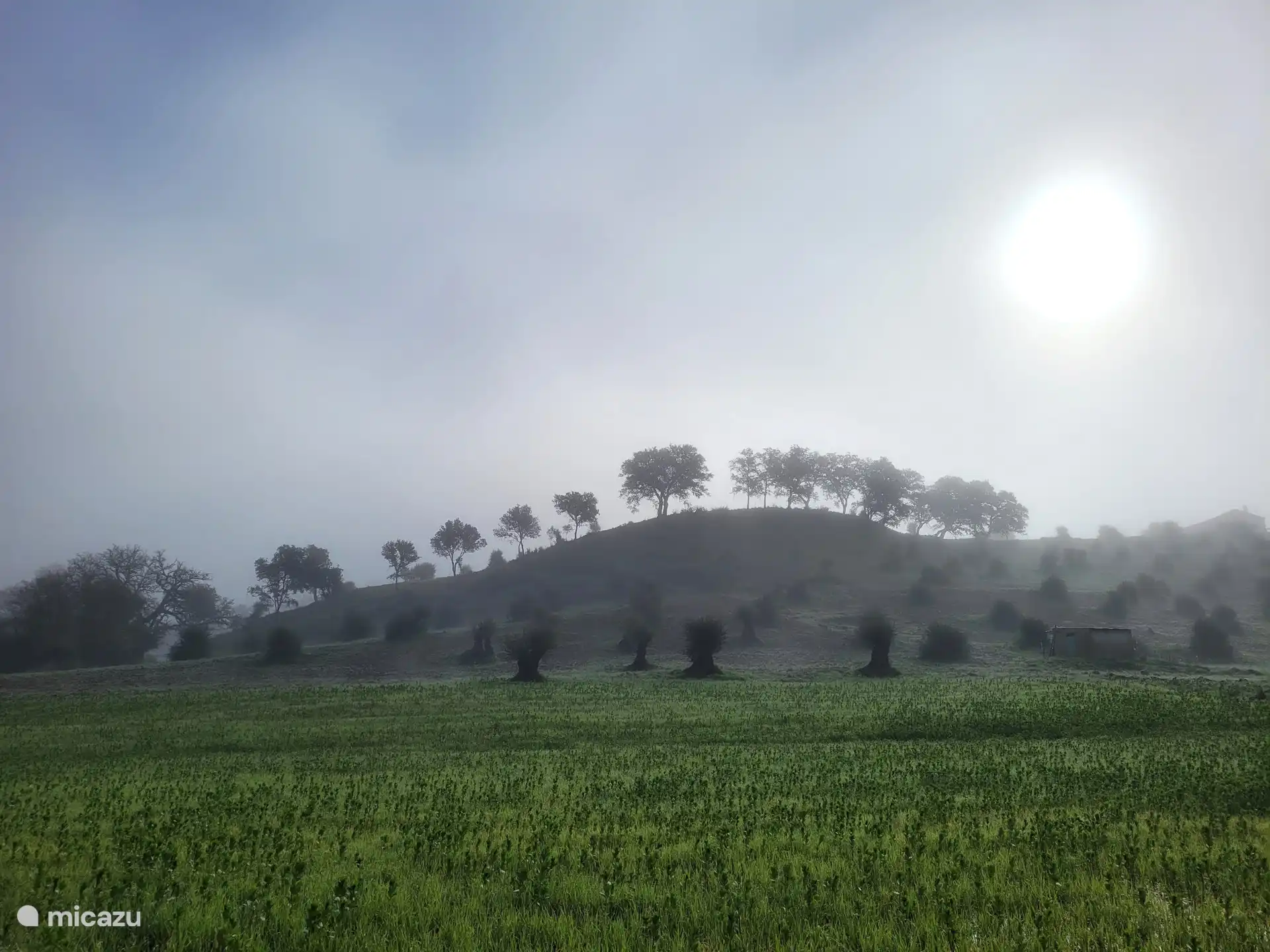 Vroeg in de ochtend wandelen in de buurt