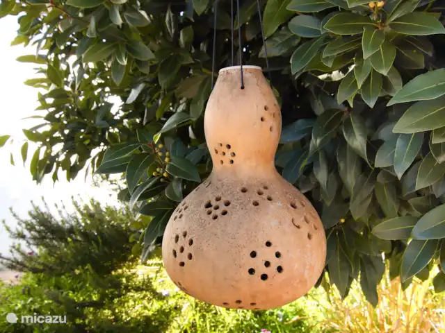 studio huren in Spanje, Andalusië, Cortés de la Frontera – Finca La Rana Verde - Studio Ana De tuin