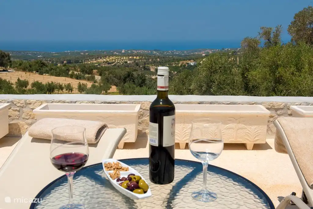 Blick auf die Terrasse
