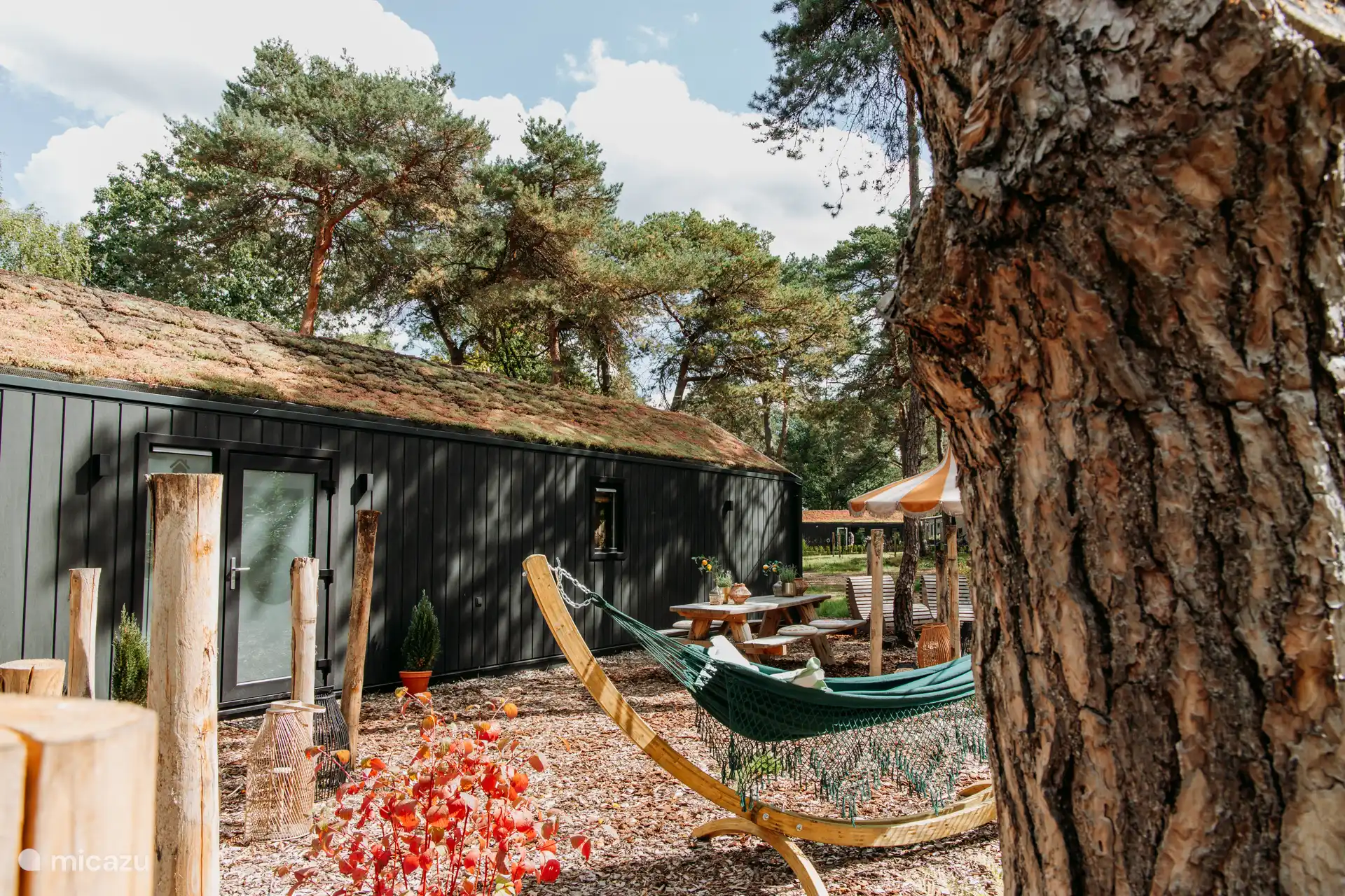 Der schöne große Garten