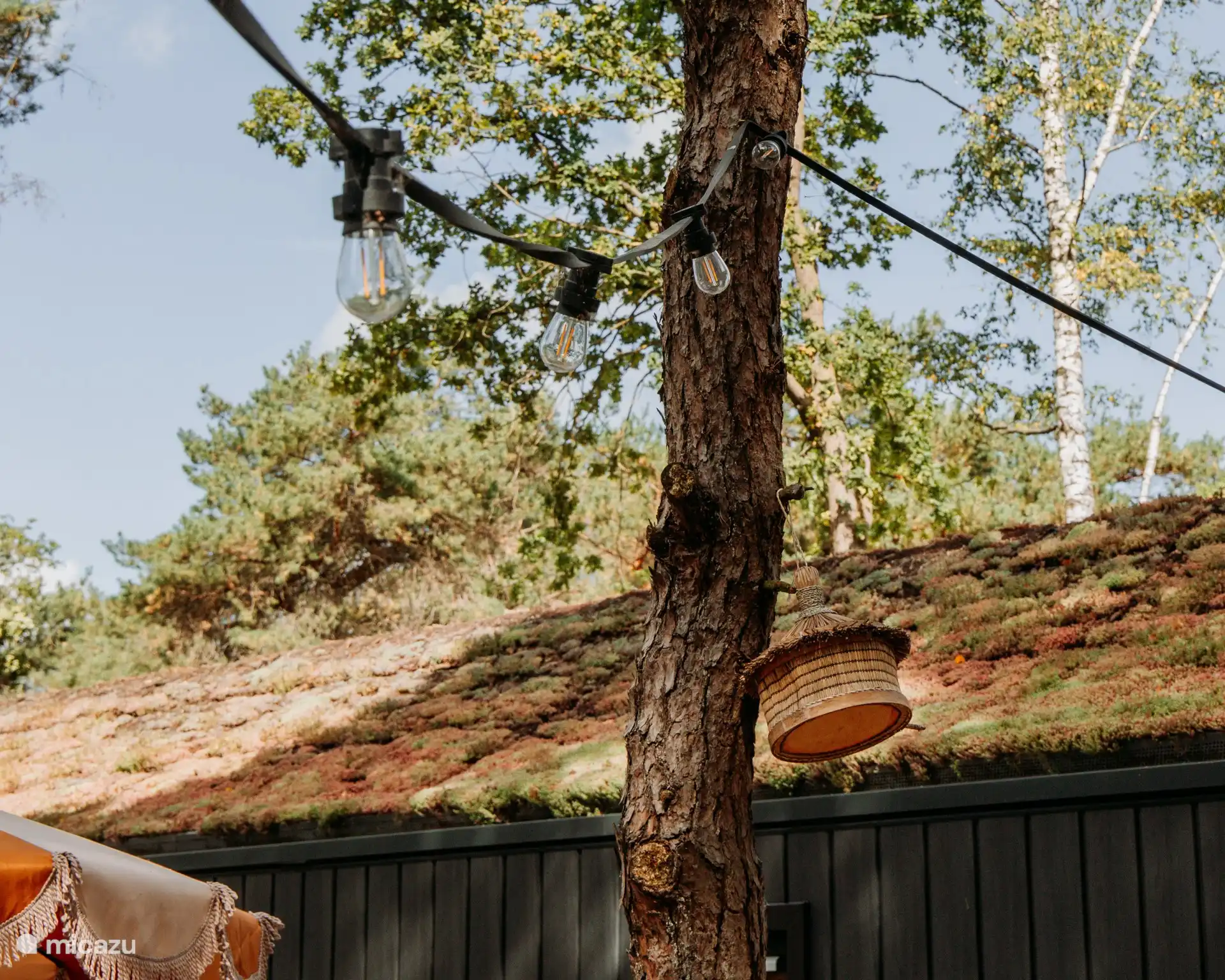 Stimmungsvolle Gartenbeleuchtung