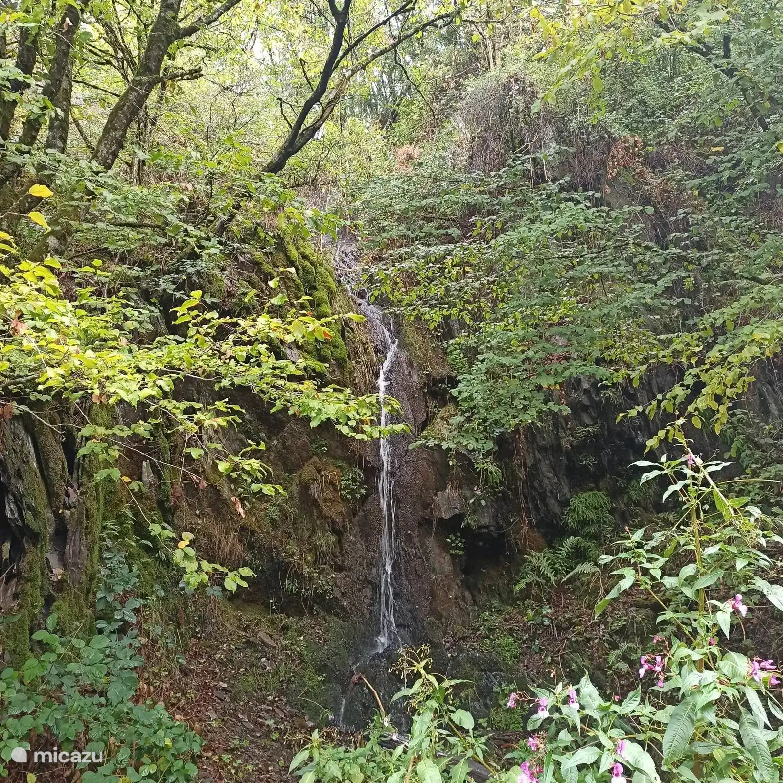 Umliegende Wanderwege ansehen