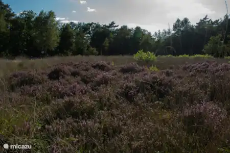 Op het park & de natuur in