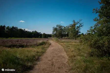 Op het park & de natuur in