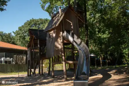 Op het park & de natuur in